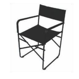 Director Chair